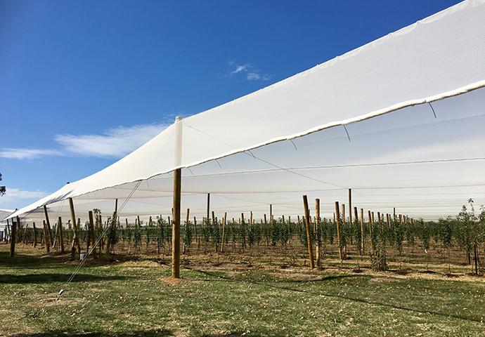 Knitted Anti Hail Net