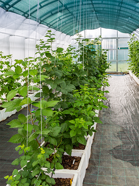 Solutions for agriculture